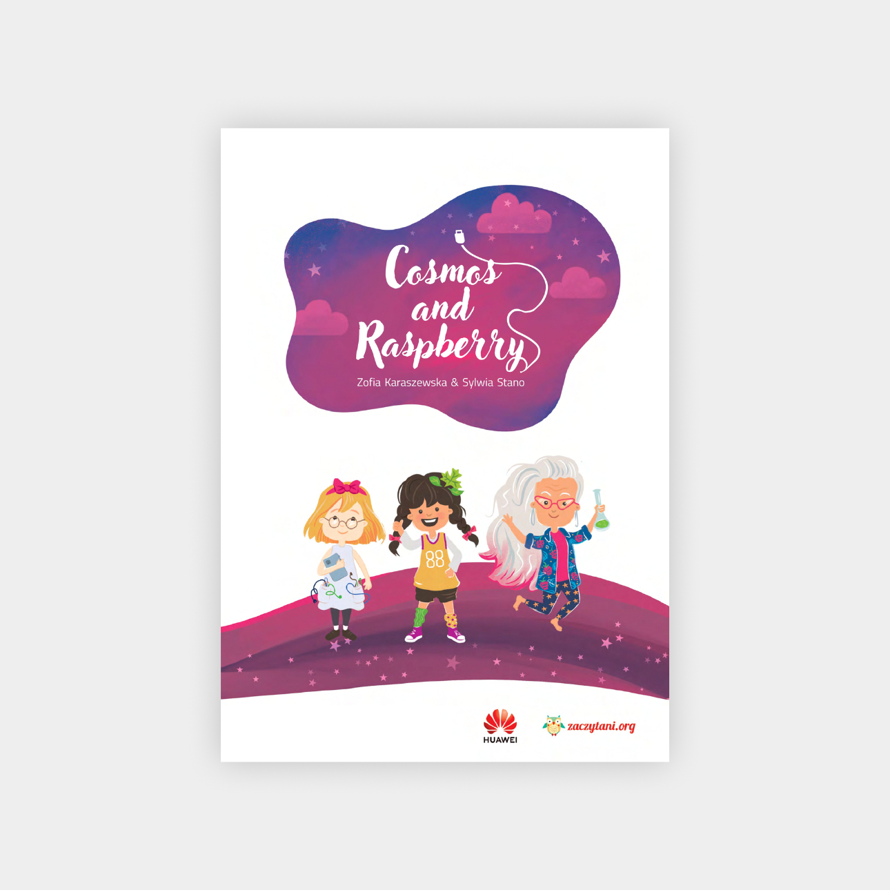 Cosmos and Raspberry